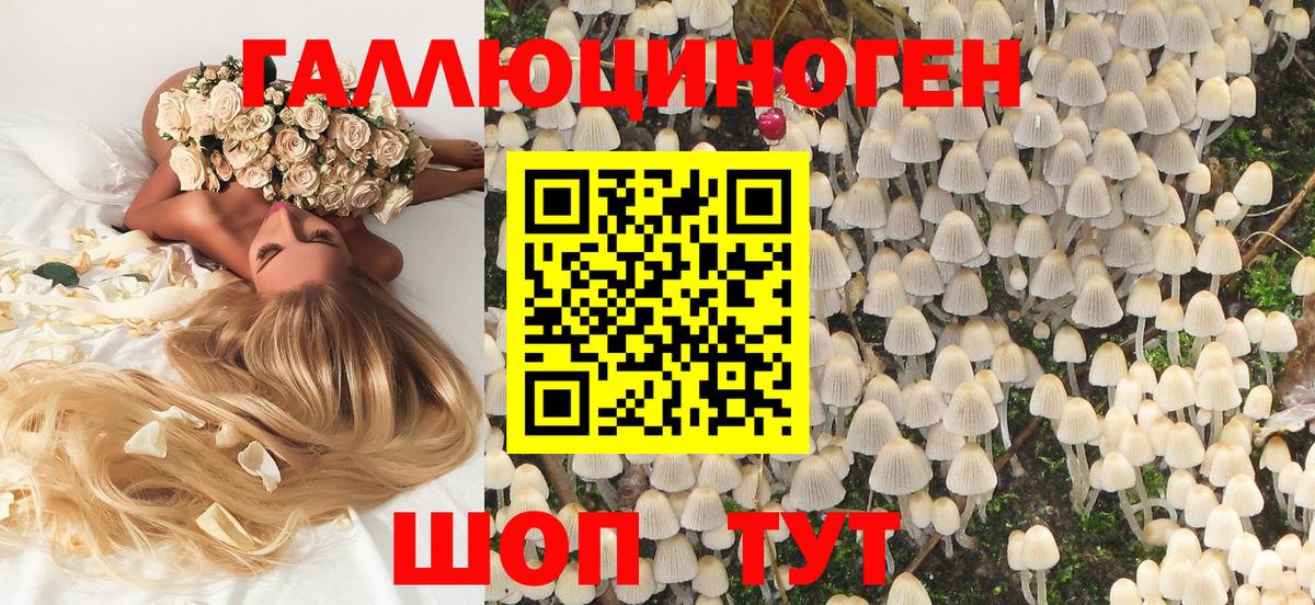 Богородск  Галлюциногенные грибы мицелий  Вход с VPN 