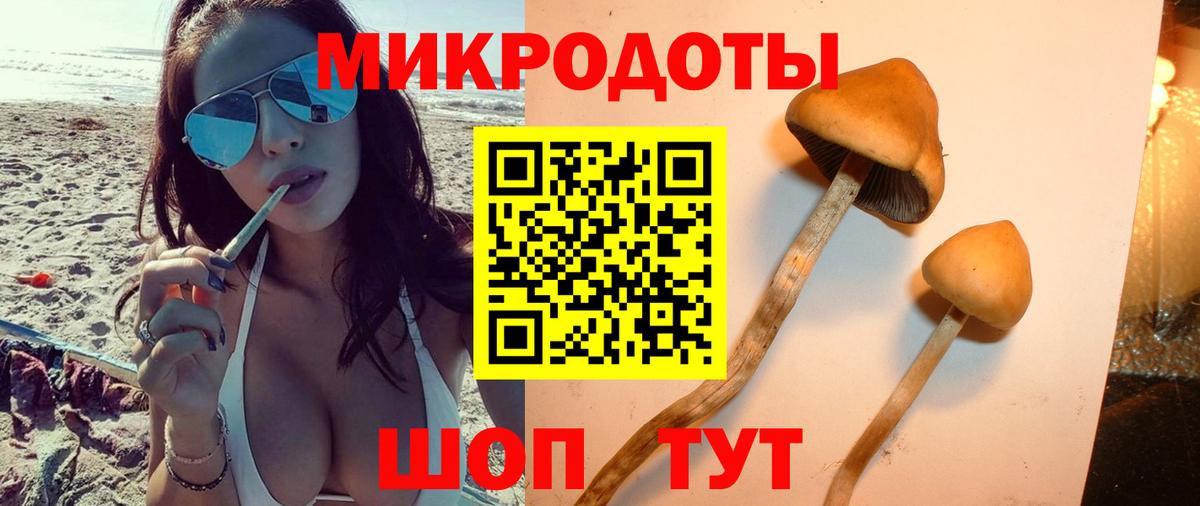 Галлюциногенные грибы ЛСД Богородск