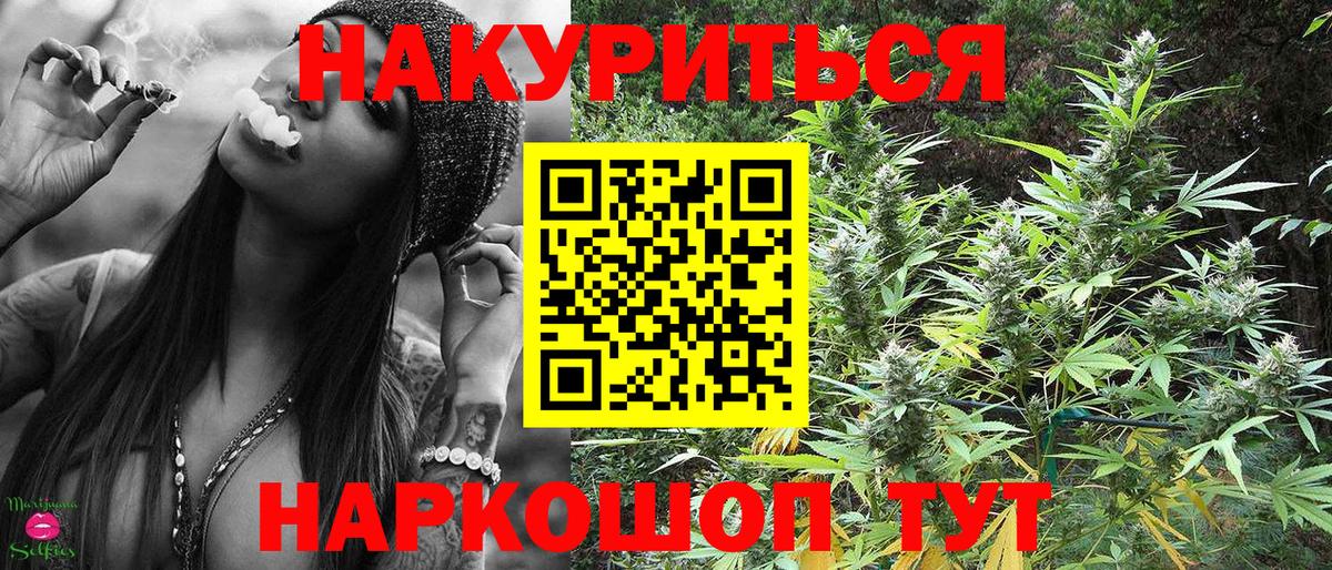 Каннабис планчик  Шишки марихуана SATIVA & INDICA  Марихуана White Widow  Вход с VPN  Богородск 